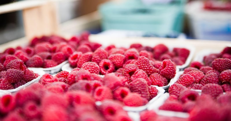 Comparatif des suites bureautiques disponibles sur le marché