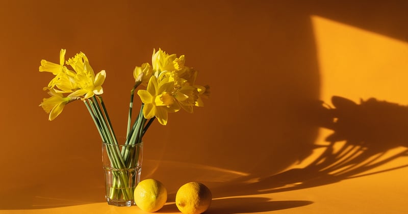 Objets connectés pour la maison : bien choisir son écosystème